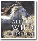 All The Wild Horses